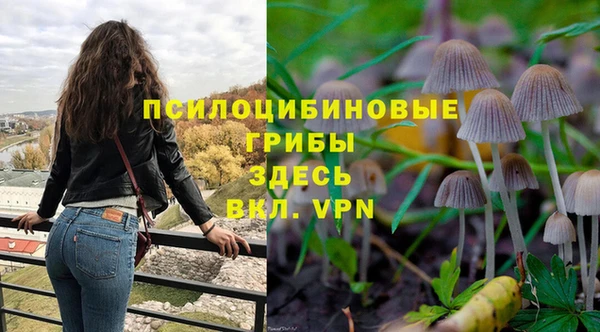трава Абинск