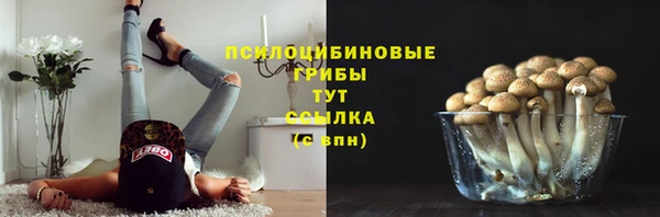 трава Абинск